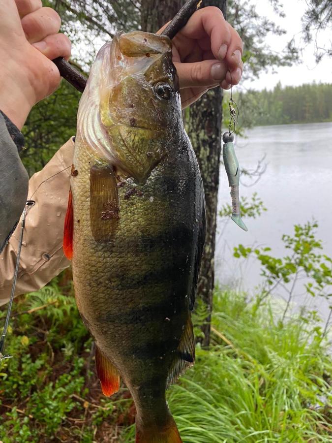 Saimaa Raikala Villa Vuoriniemi Luaran gambar